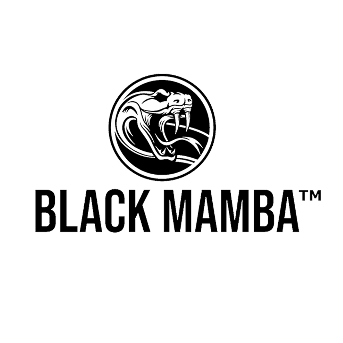 Black Mamba logo